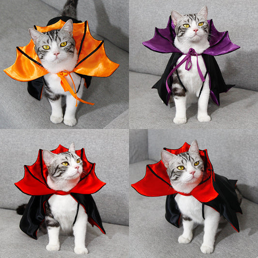 Halloween Cat Bat Costume